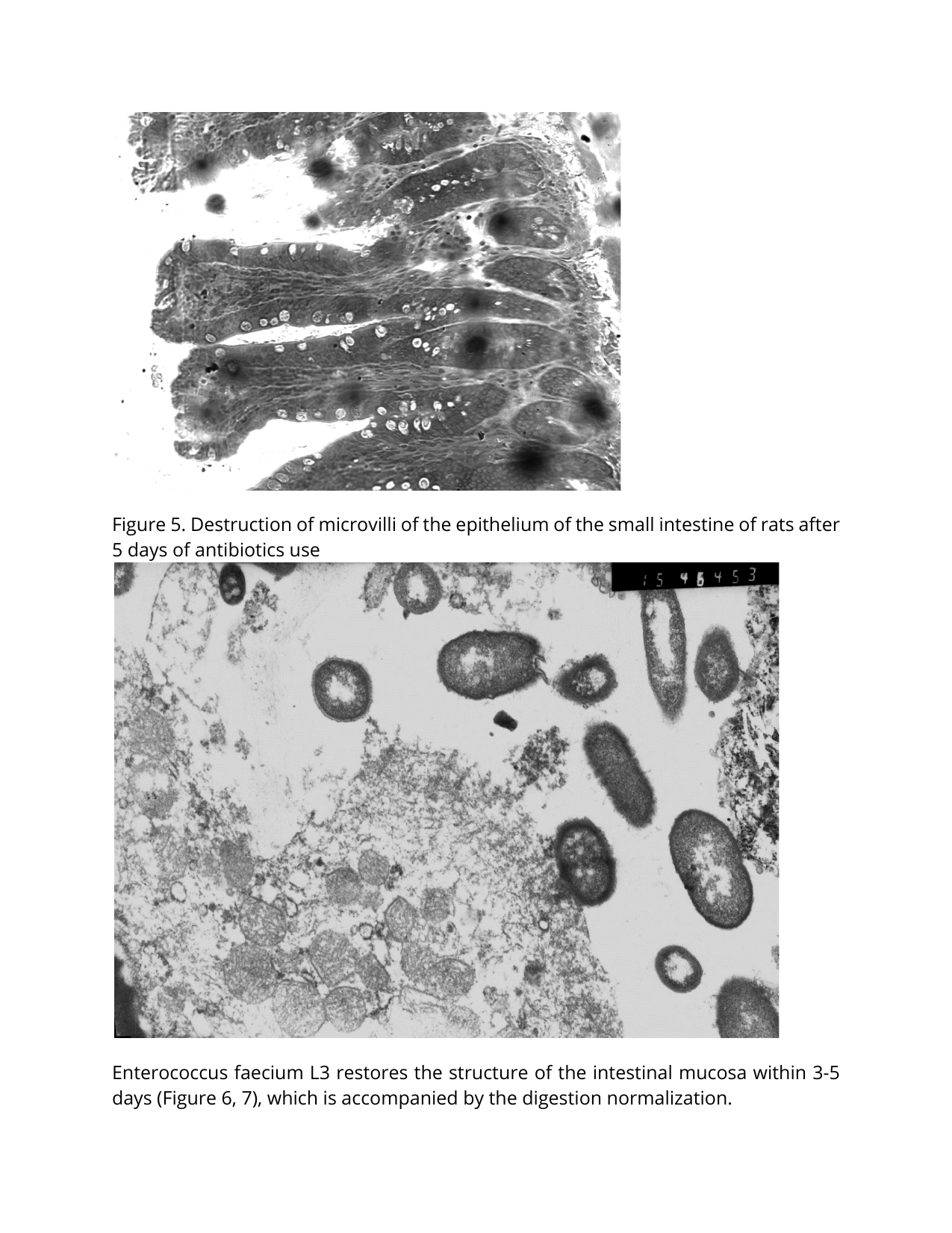 Science Document Page - science_pdf_page-05.png
