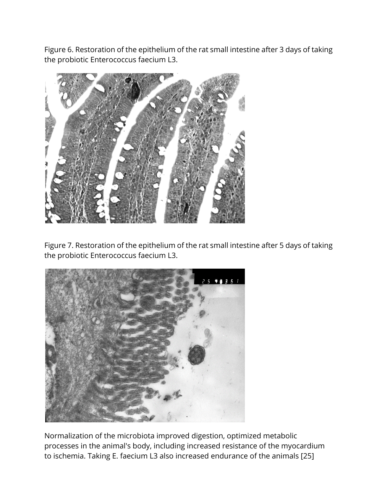 Science Document Page - science_pdf_page-06.png