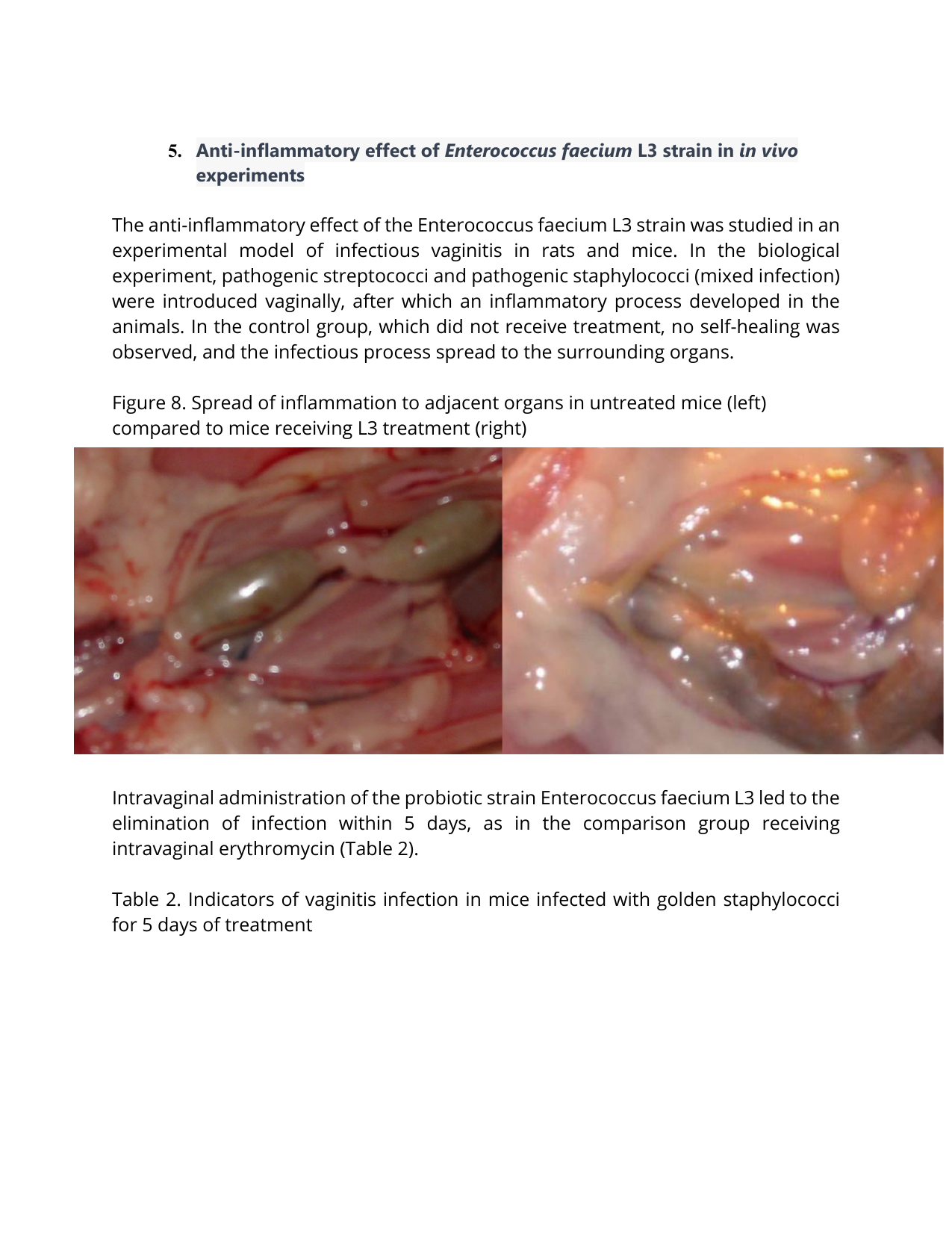 Science Document Page - science_pdf_page-07.png